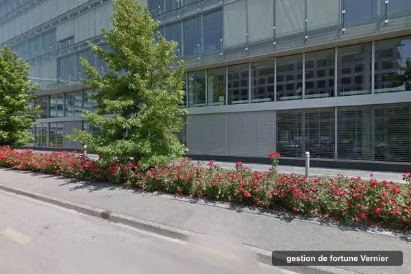 Immeuble des bureaux de Flexstone Partners, Chemin de Blandonnet 8 à Vernier